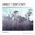 Midnight Rainshower
