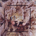 Cube 7 - Sospensione D'Estate